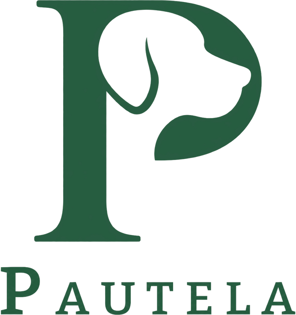 Pautela